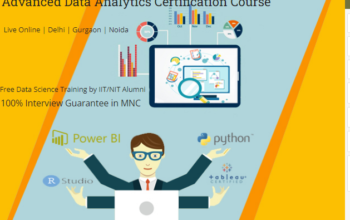 Top Data Analyst Certification Course in Delhi, 11