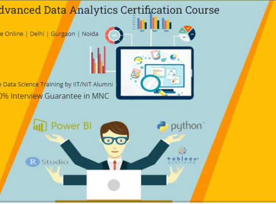 Top Data Analyst Certification Course in Delhi, 11