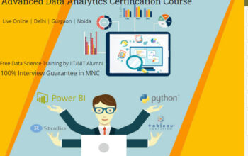 Data Analyst Course in Delhi, 110096. 100% Job