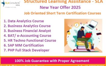 Best Data Analyst Course in Delhi, 110034